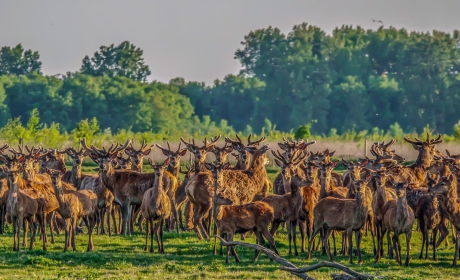 1 – Okt-2025-C – Meer dan 10 mannen in de OVP – ISO160-f4-1-1000sec-220mm