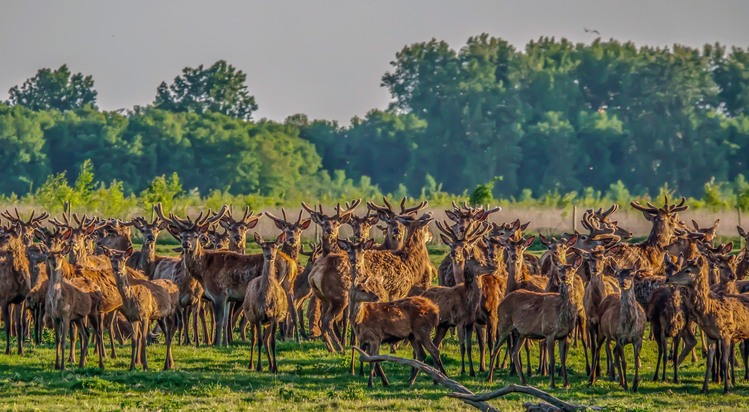 1 – Okt-2025-C – Meer dan 10 mannen in de OVP – ISO160-f4-1-1000sec-220mm
