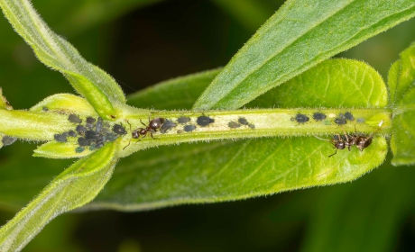 3 – Okt-2025-F – Opstopping – ISO800-f11-1-180sec-100mm