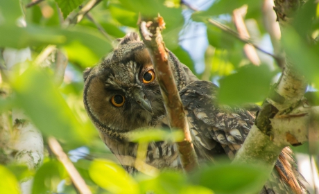 Gedeelde 3rde plaats tanja