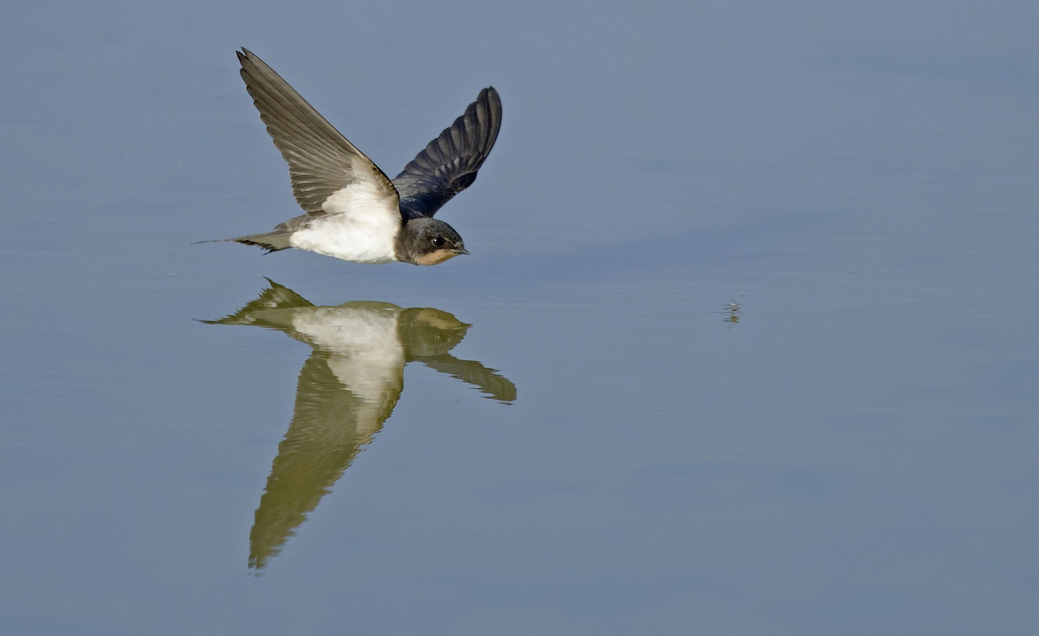 eerste plaats karel mauer